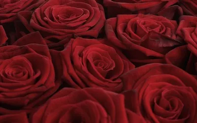 Les coulisses du théâtre